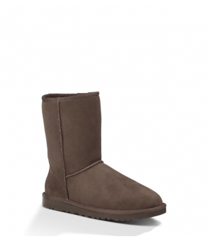 Men's Classic Short Choсolate 5800